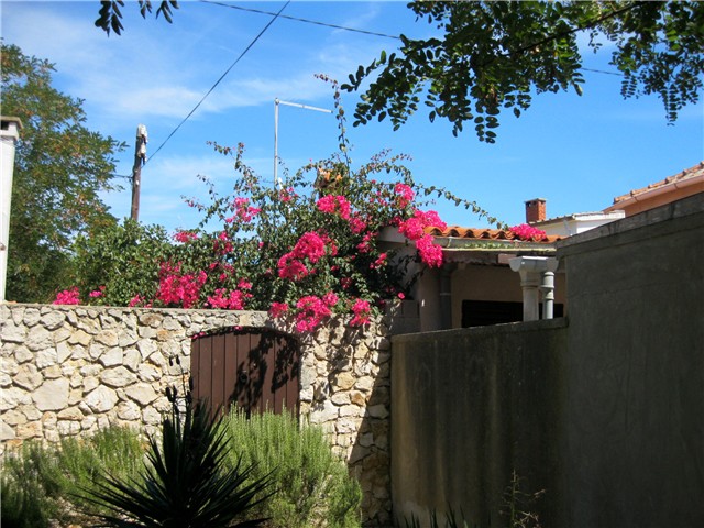 Silba